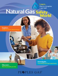 25220 NGSW Cover 25220 NGSW Cover