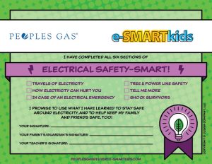 Electrical Safety-SMART certificate